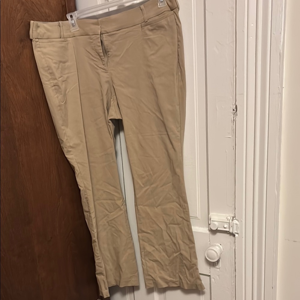 Lane Bryant Beige Trousers
